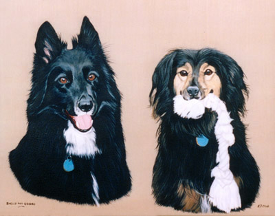 Pet Portraits - German Shepherd and Border Collie - Oils