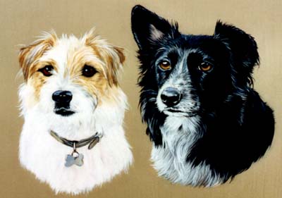 Pet Portraits - Mixed Groups - Terrier and Border Collie - Oils