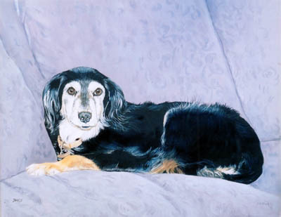 Pet Portraits - Mongrel on Settee - Oils