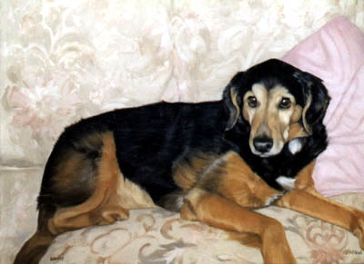 Pet Portraits - Mongrel on Settee - Oils