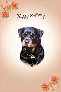 Rotweiler paintings and pet portraits and dogs greeting cards