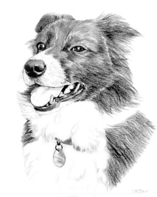 Pet Portraits - Dog Paintings from Your Own Photos