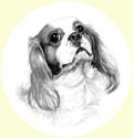 Click for larger image of dog portrait in pencil