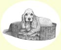 Click for larger image of dog portrait in pencil