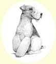 Click for larger image of dog portrait in pencil