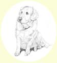 Click for larger image of dog portrait in pencil