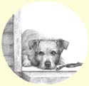 Click for larger image of dog portrait in pencil