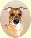 Click for larger image of Pinscher dog painting