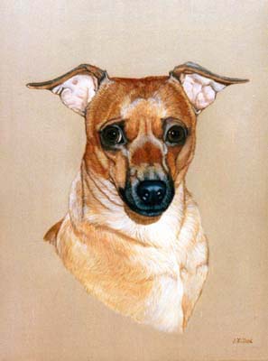 Pet Portraits - Pinscher dog paintings