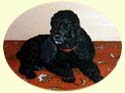 Click for larger image of poodle painting