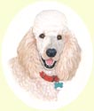 Click for larger image of poodle painting