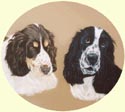 Click for larger image of Springer Spaniels painting