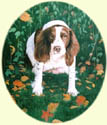 Click for larger image of Springer Spaniel painting