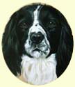 Click for larger image of Springer Spaniel painting