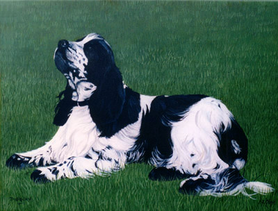 Pet Portraits - Springer Spaniel painting