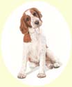 Click for larger image of Springer Spaniel painting