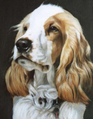 Pet Portraits - Springer Spaniel painting