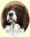 Click for larger image of Springer Spaniel painting