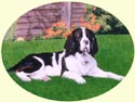 Click for larger image of Springer Spaniel painting