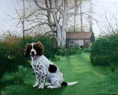 Pet Portraits - Springer Spaniel painting