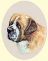 Click for Larger Image of St Bernard