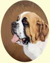 Click for Larger Image of St Bernard