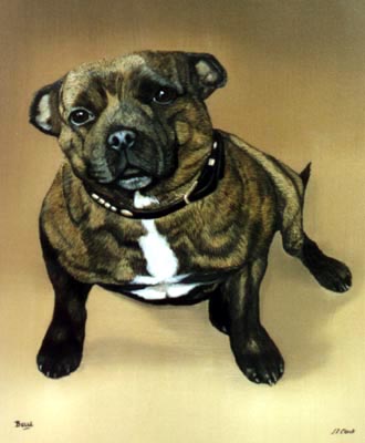 Pet Portraits Dog paintings - Staffordshire Bull Terrier painting 