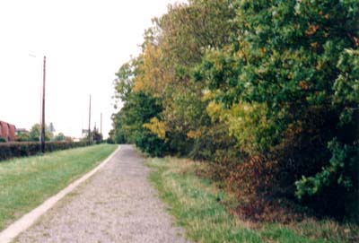 Old Drovers Path, Banner Lane, Coventry - Oils on Canvas