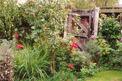 Our garden gate, Tile Hill, Coventry