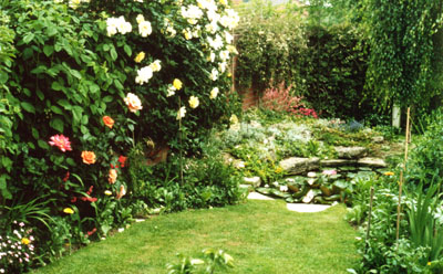 My pond and part of my garden - June 1986 - Photo