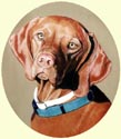 Click for larger image of Vizsla dog painting