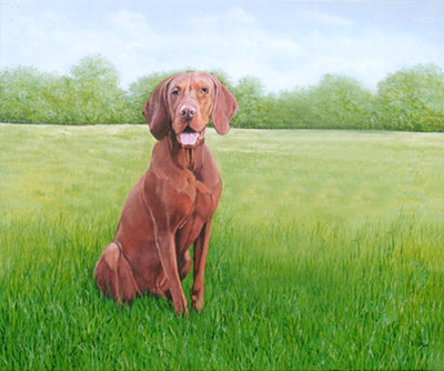 Pet Portraits - Dog & Puppy Paintings from Your Favourite Photos - Vizsla