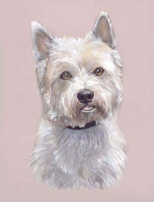 Pet Portraits - West Highland White Terrier Perro - Watercolours - Westies