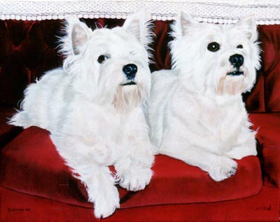 Pet Portraits - West Highland White Terriers - Oils - Westies