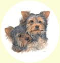 Click for larger image of Yorkshire Terrier painting - Yorkie