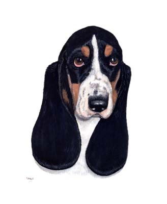 Pet Portraits - Basset Hound Painting by Isabel Clark