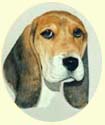 Click for Large Image of Basset Hound Painting