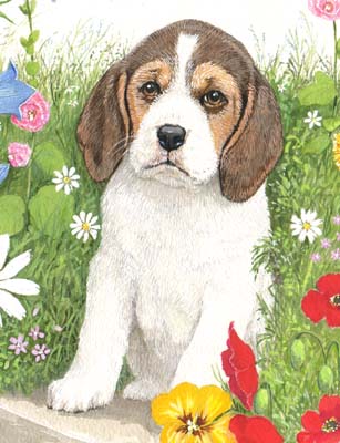 Pet Portraits - Beagle Puppy Full Body Study - Watercolours