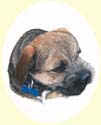 Click for larger Border Terrier Painting