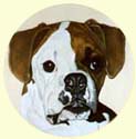 Click for larger image of Boxer dog painting