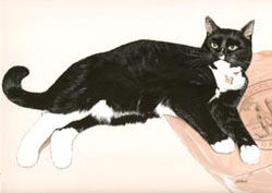 Cat paintings by Isabel Clark