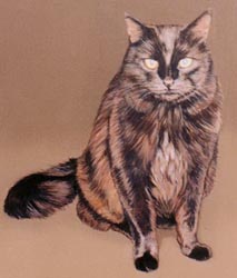 Pet portraits - Cat paintings in oils or watercolours