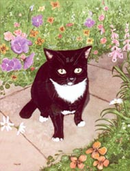 Pet Portraits - Cat paintings by Isabel Clark - English Artist