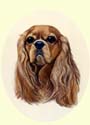 Click for larger painting of Cavalier King Charles Spaniel