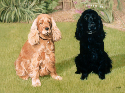 Pet Portraits - Cocker Spaniels  - Oil Painting