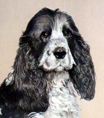 Pet Portraits - Dog Paintings - Cocker Spaniel Painting