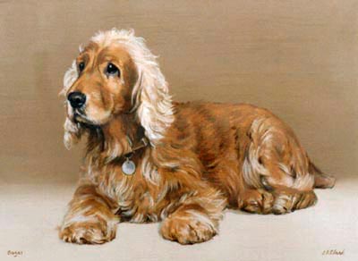 Dog Portraits - Pet Portraits - Cocker Spaniel Paintings