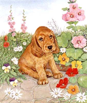 Pet Portraits - Dog Paintings - Cocker Spaniel Painting