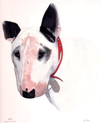 Pet Portraits - Dog Paintings from your Own Photos - English Bull Terrier Buddy - Watercolours