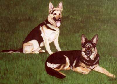 Pet Portraits - Dog Paintings from your Own Photos - 2 German Shepherds in Oils (Alsatians)
